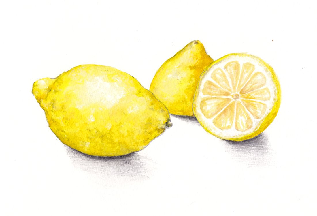 1100x749 Lemon Drawings - Lemon Drawing