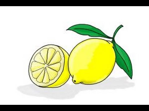 480x360 How To Draw A Lemon - Lemon Drawing