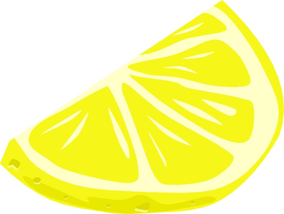 950x715 Drawing Of A Slice Of Juicy Lemon Free Image - Lemon Slice Drawing