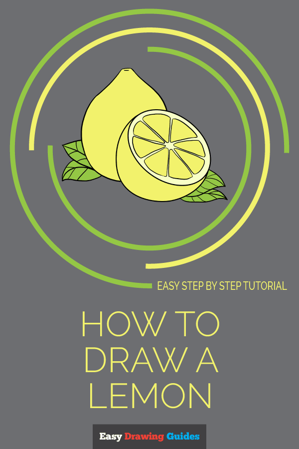 600x900 How To Draw A Lemon - Lemon Slice Drawing