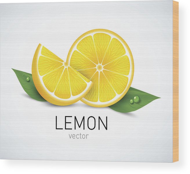 655x600 Lemon Slice With Leaves Isolated On White Background Vector - Lemon Slice Drawing