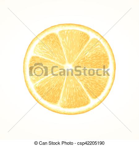 450x470 Lemon Slice, Sketch Hand Drawn - Lemon Slice Drawing