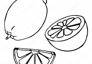 300x210 Drawing Of Lemon - Lemon Slice Drawing