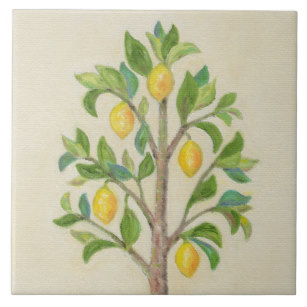 307x307 Lemon Tree Decorative Ceramic Tiles Zazzle - Lemon Tree Drawing