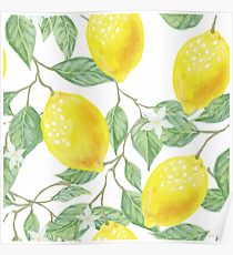 210x230 Lemon Tree Drawing Posters Redbubble - Lemon Tree Drawing