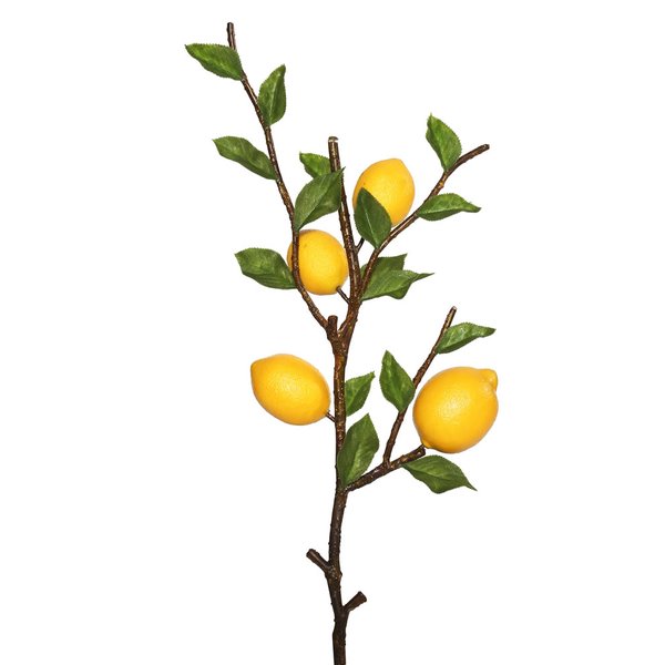 Arriba 94+ Imagen how to draw a lemon tree Actualizar