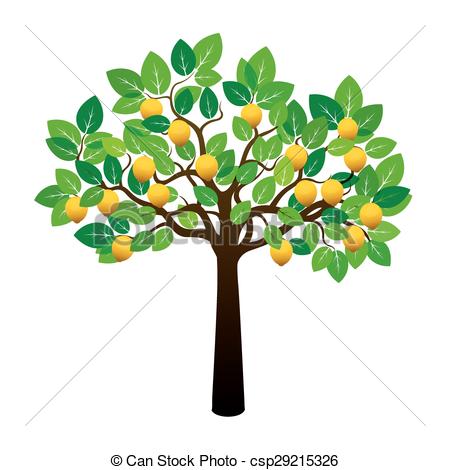 450x470 Lemon Tree And Fruits Vector Illustration - Lemon Tree Drawing