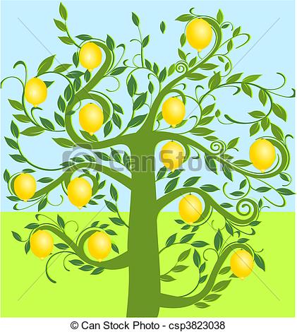 421x470 Lemon Tree Vector - Lemon Tree Drawing