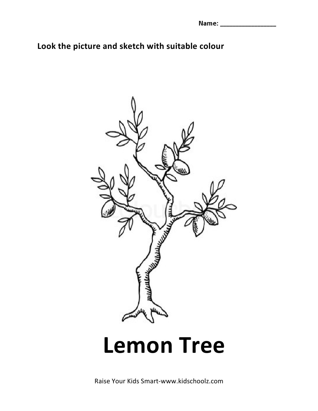 Featured image of post Lemon Tree Drawing For Kids : This tutorial will hopefully have them draw a tree with more structure, with random but balanced thinning limbs coming from a wide and sturdy trunk.