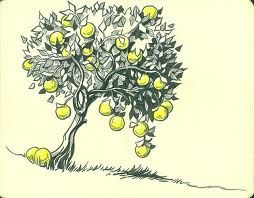 254x198 lemon tree ink tree art, lemon drawing, tree illustration - Lemon Tree Drawing
