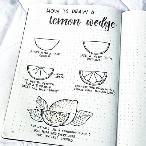 474x474 how to draw a lemon wedge bullet journal bullet journal - Lemon Wedge Drawing