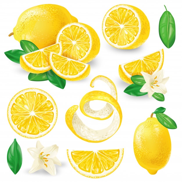 Lemon Wedge Drawing at Explore collection of Lemon