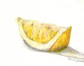 340x270 lemon wedge etsy - Lemon Wedge Drawing