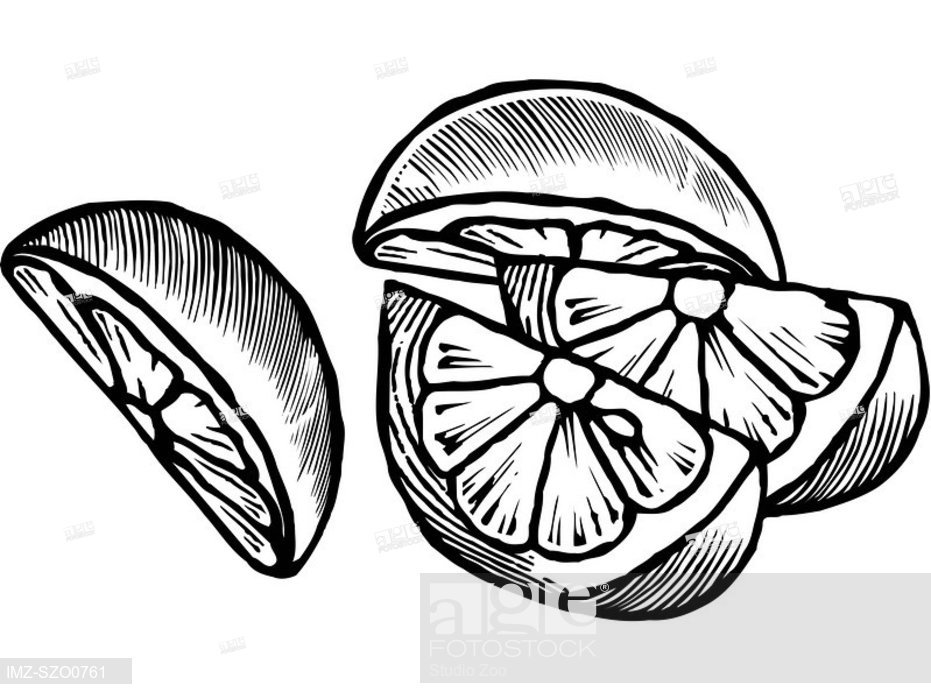 931x699 a black and white drawing of lemon wedges, stock photo, picture - Lemon Wedge Drawing