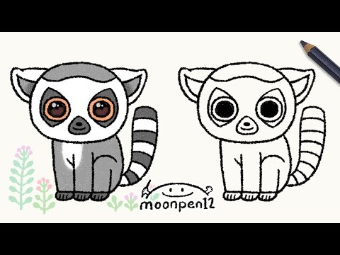 480x360 How To Draw A Lemur For Kids Easy Step - Lemur Drawing