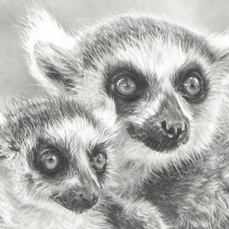 794x794 Lemur Drawing Lemur Mother And Baby Lemur Art Wildlife Art Etsy - Lemur Drawing