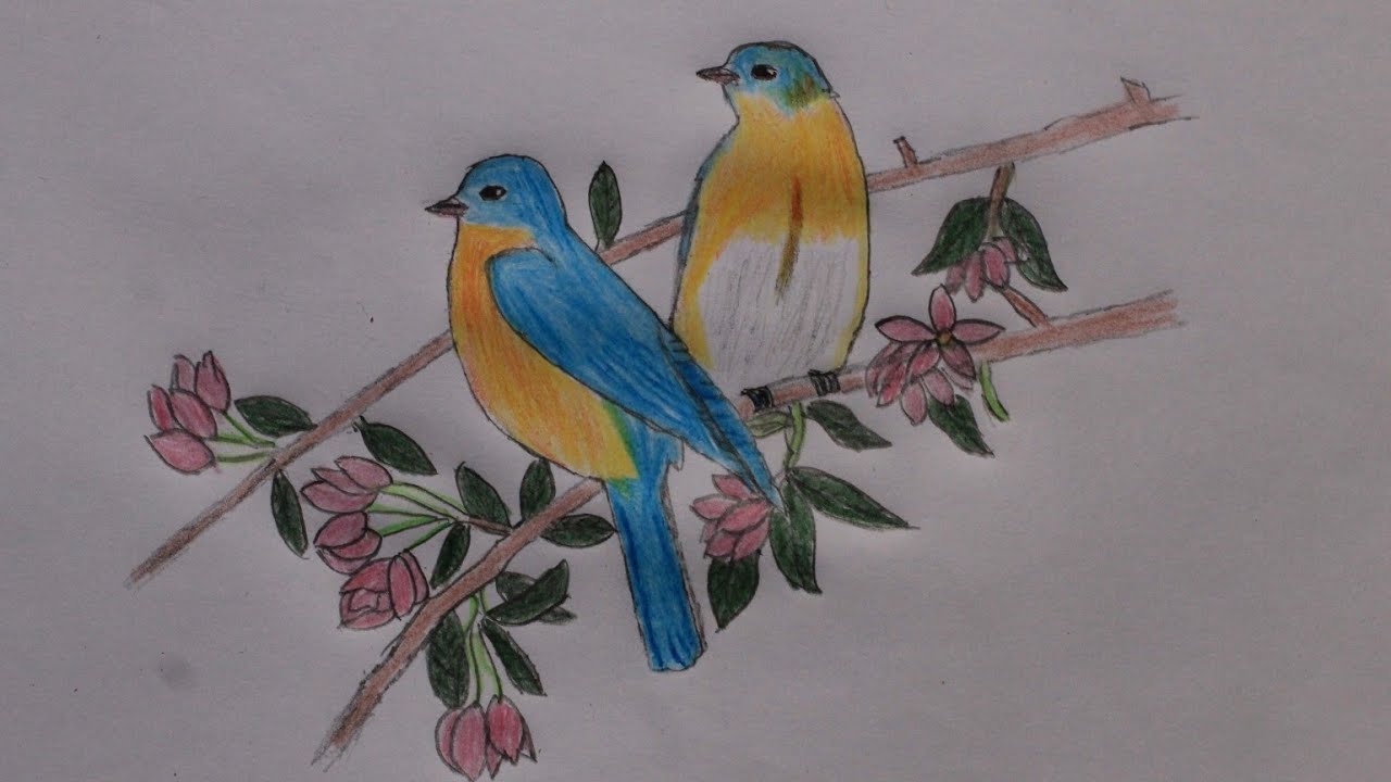 1280x720 How To Draw Two Birds On A Lentil, Step - Lentil Drawing