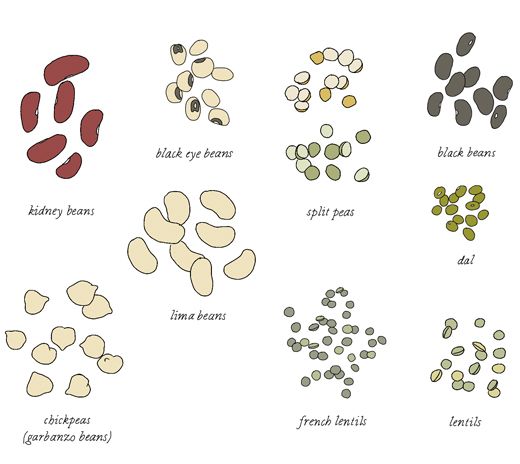 520x464 lentil dip baby you the main dish lentil recipes, lentils - Lentil Drawing