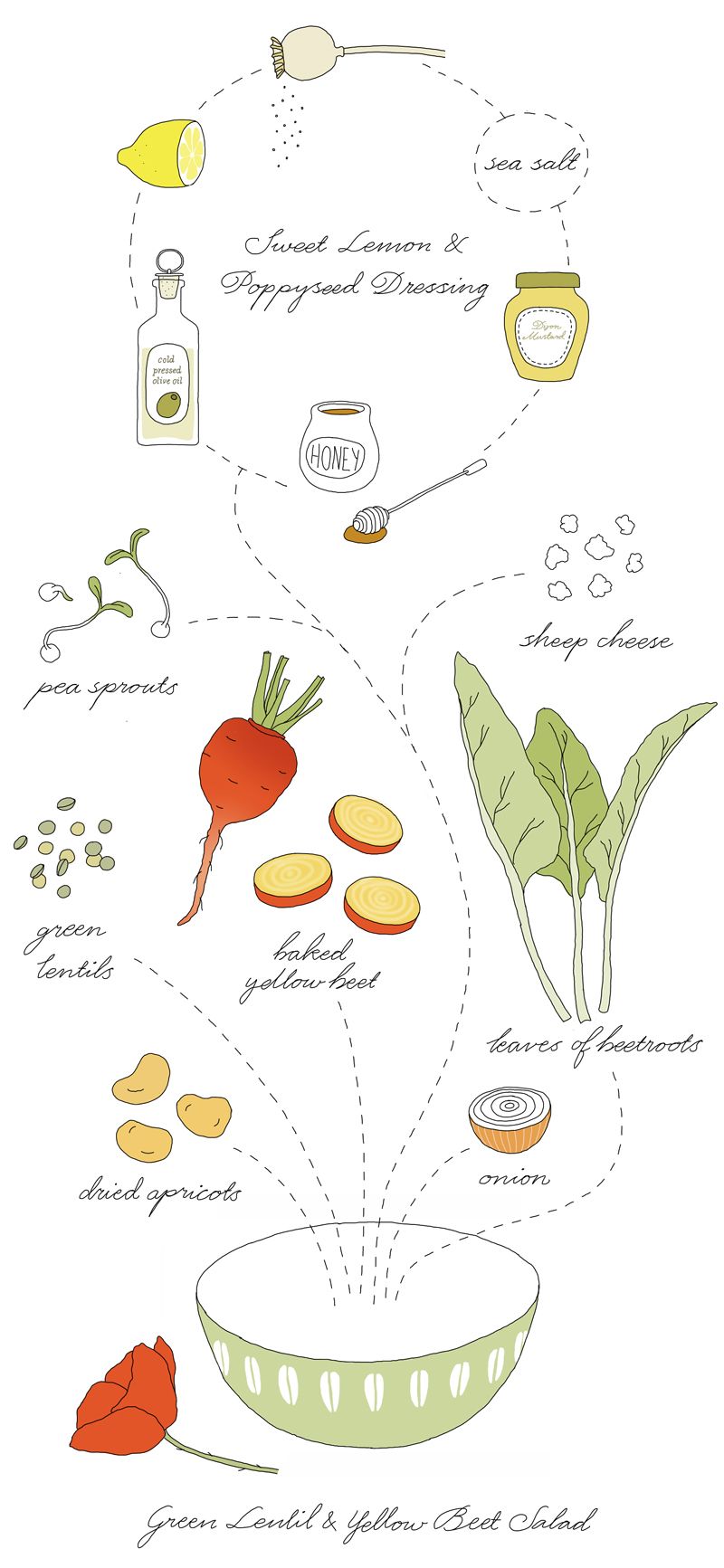 800x1733 green kitchen stories green lentil yellow beet salad - Lentil Drawing