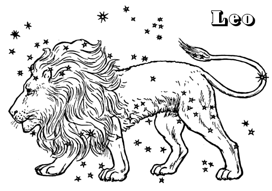 550x386 leo - Leo Drawings
