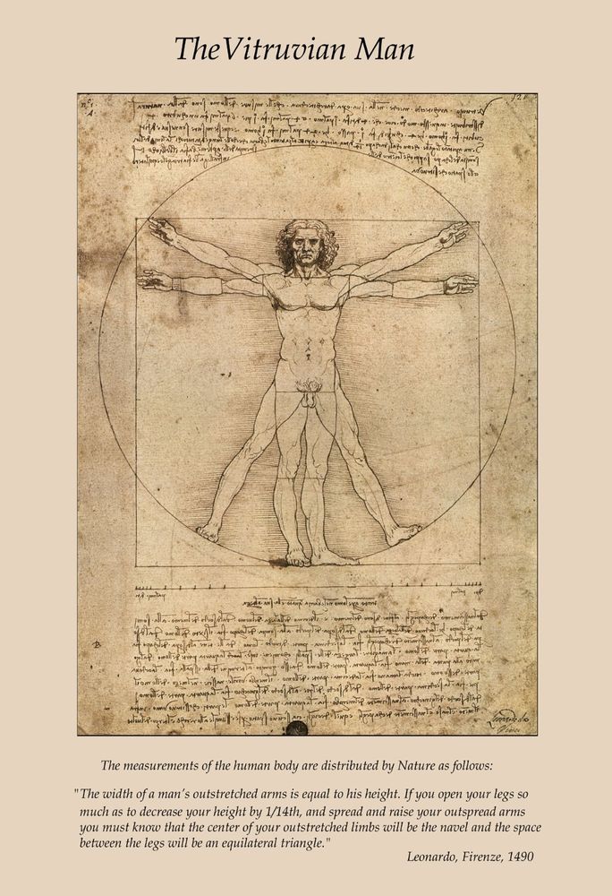 684x1000 leonardo da vinci drawings - Leonardo Da Vinci Drawings