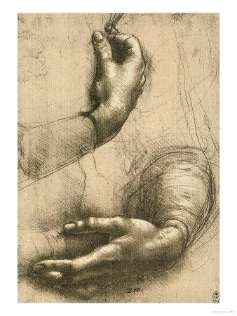 338x450 study of female hands, drawing, royal library, windsor giclee - Leonardo Da Vinci Drawings
