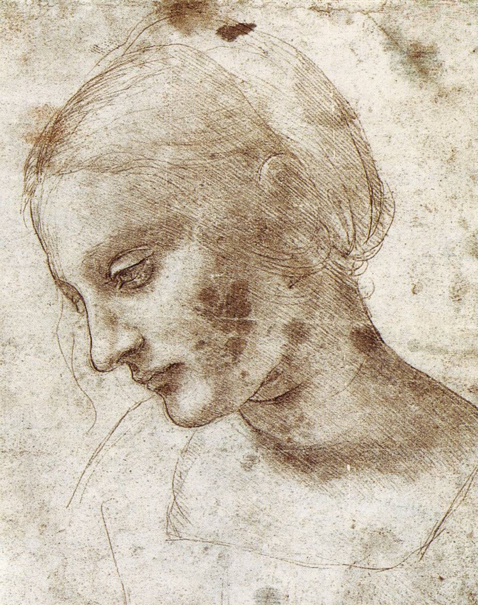 929x1177 the drawings of leonardo da vinci - Leonardo Da Vinci Drawings