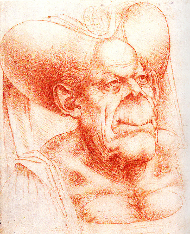 730x900 Grotesque Head Chalk Drawing Drawing - Leonardo Da Vinci Drawings