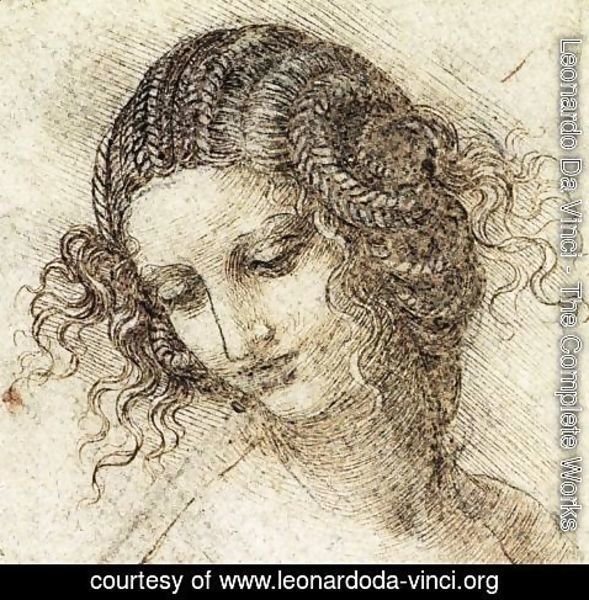 589x600 leonardo da vinci - Leonardo Da Vinci Drawings