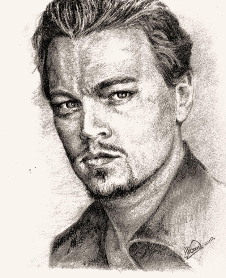 731x900 leonardo dicaprio portrait drawing - Leonardo Dicaprio Drawing