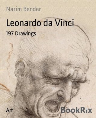 318x389 leonardo da vinci drawings - Leonardo Drawings