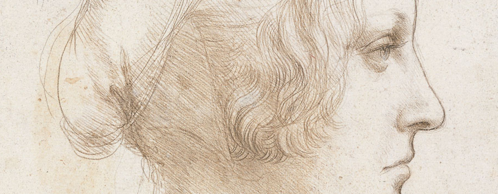 1600x625 Ten Drawings - Leonardo Drawings