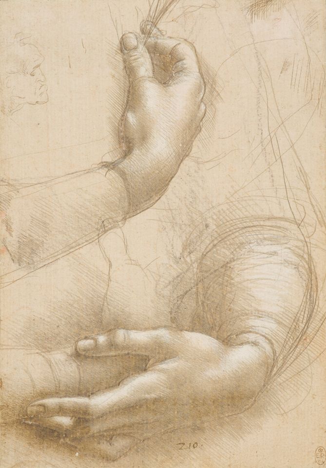 669x960 twelve leonardo shows to open simultaneously in the uk to mark - Leonardo Drawings