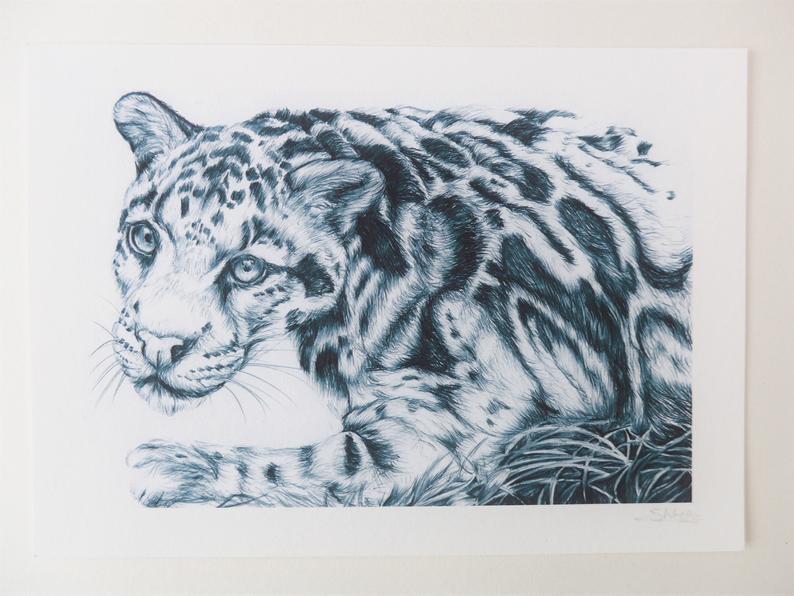 794x596 clouded leopard drawing leopard art print pen drawing black etsy - Leopard Black And White Drawing