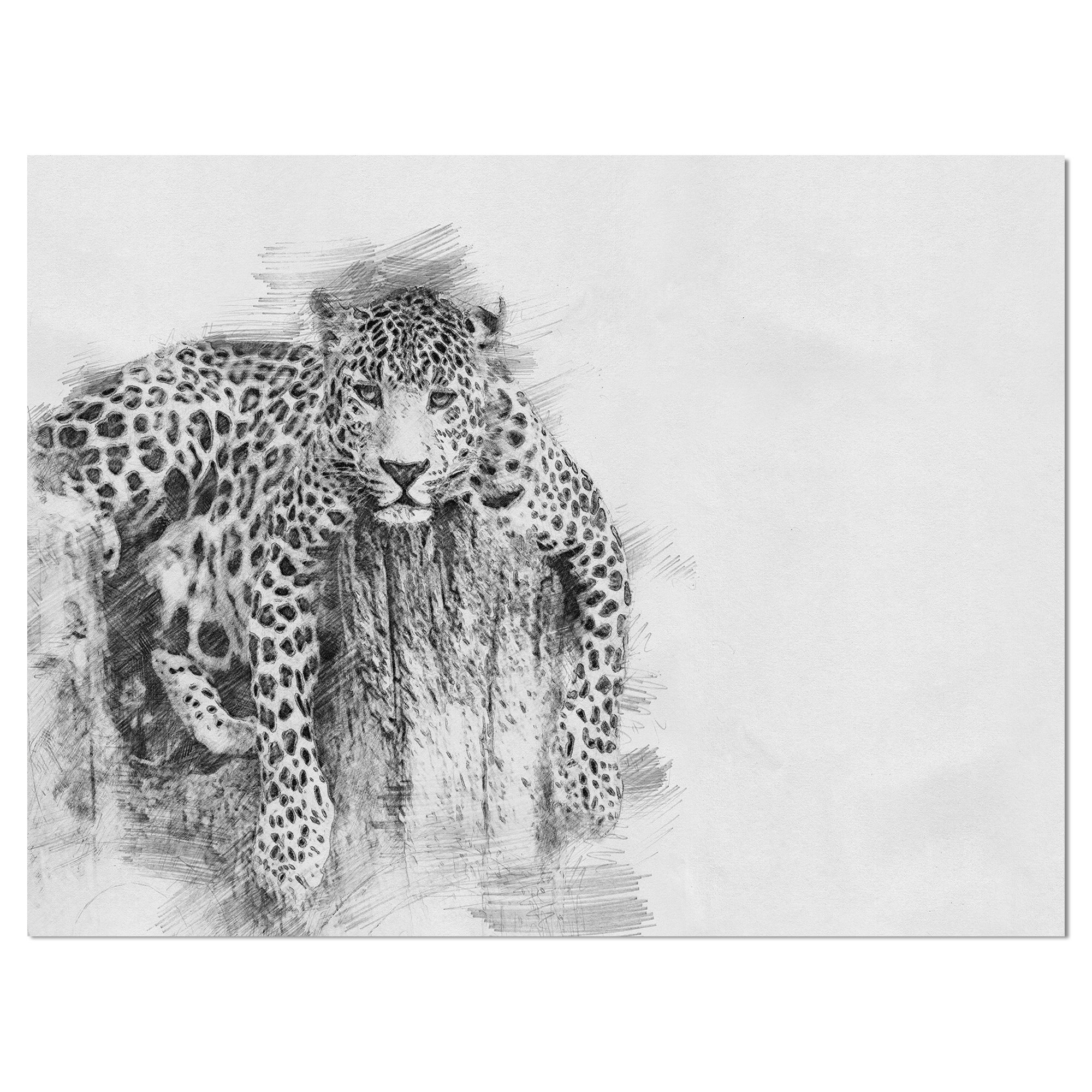 Девушка и леопард ,рисунки карандашом