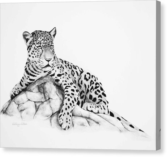 546x513 Leopard Black And White Painting - Leopard Black And White Drawing
