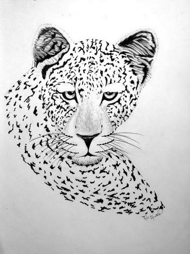 Leopard Black And White Drawing at PaintingValley.com | Explore ...