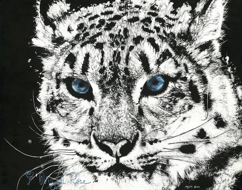 794x624 scratchbord snow leopard white tiger art drawing print etsy - Leopard Black And White Drawing
