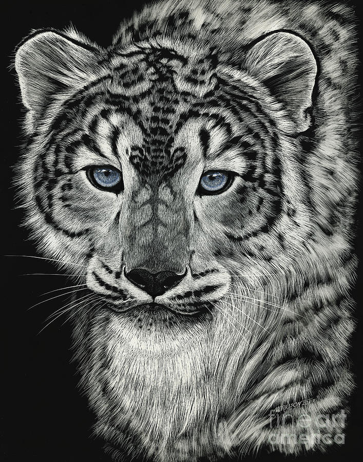 707x900 snow dragon leopard drawing - Leopard Black And White Drawing