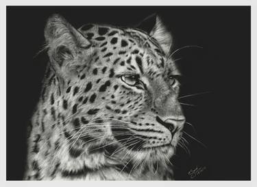 375x272 Leopard - Leopard Black And White Drawing