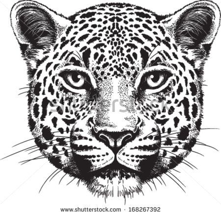 450x438 Black And White Vector Sketch Of A Leopard's Face Tattoos - Leopard Black And White Drawing