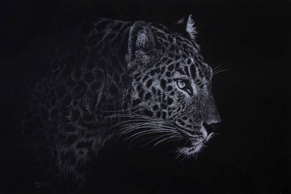 600x401 But You Are More Than Welcome To Paint And Draw Along With Me - Leopard Black And White Drawing