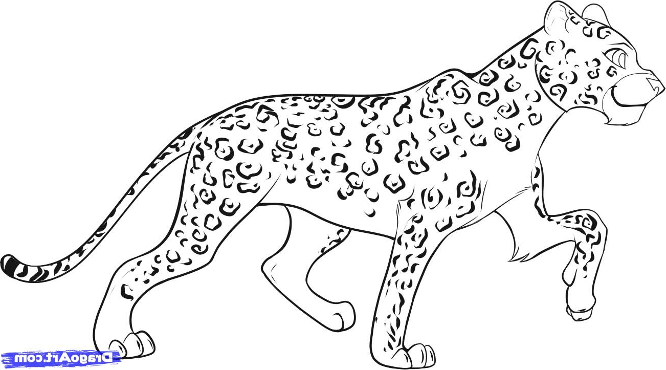 Leopard Cartoon Drawing at PaintingValley.com | Explore collection of