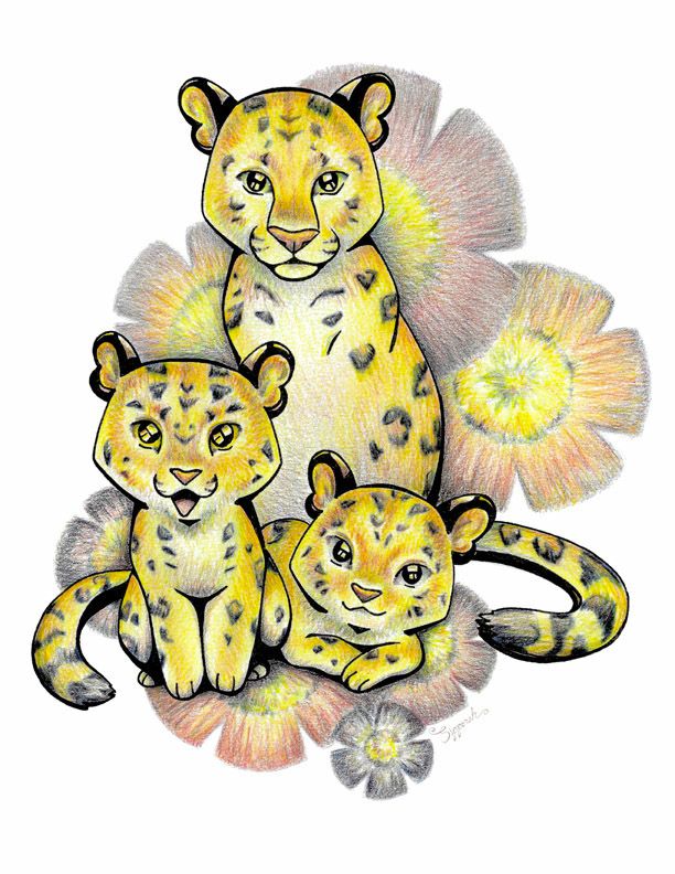 Leopard Cartoon Drawing at Explore collection of