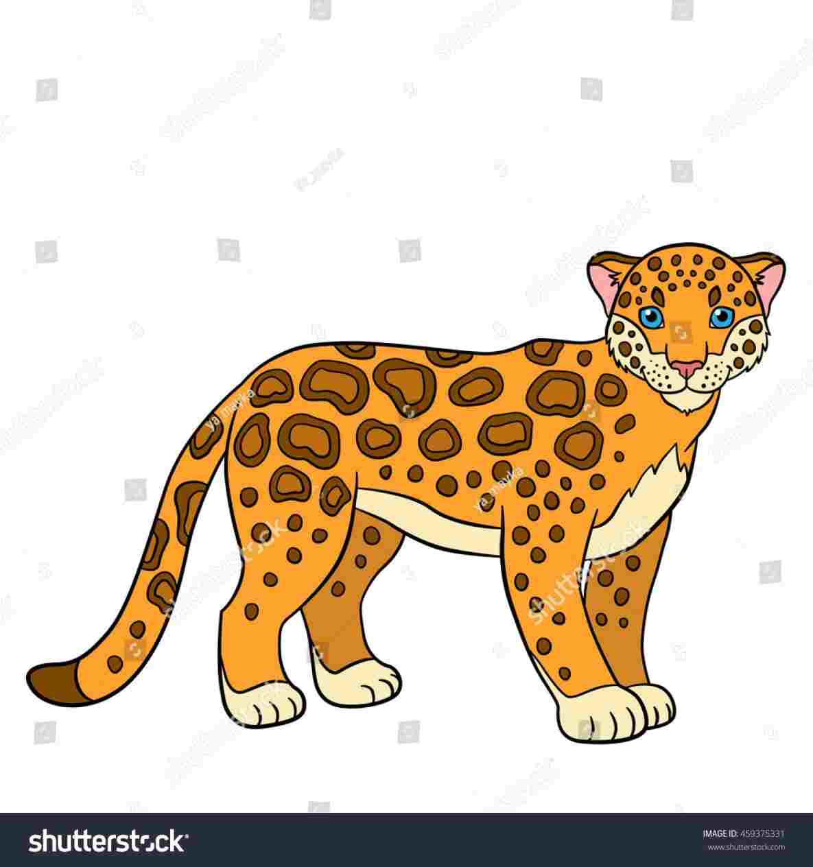 Leopard Cartoon Drawing at Explore collection of