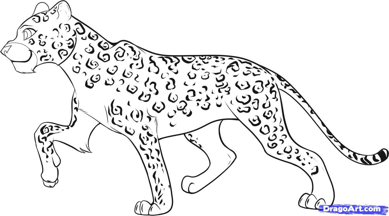 1302x723 leopard cartoon drawing and step how to draw cartoon leopard - Leopard Cartoon Drawing
