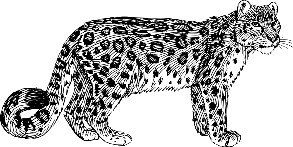 600x301 snow leopard clip art - Leopard Cartoon Drawing