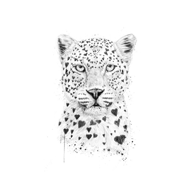 630x630 Lovely Leopard - Leopard Drawing