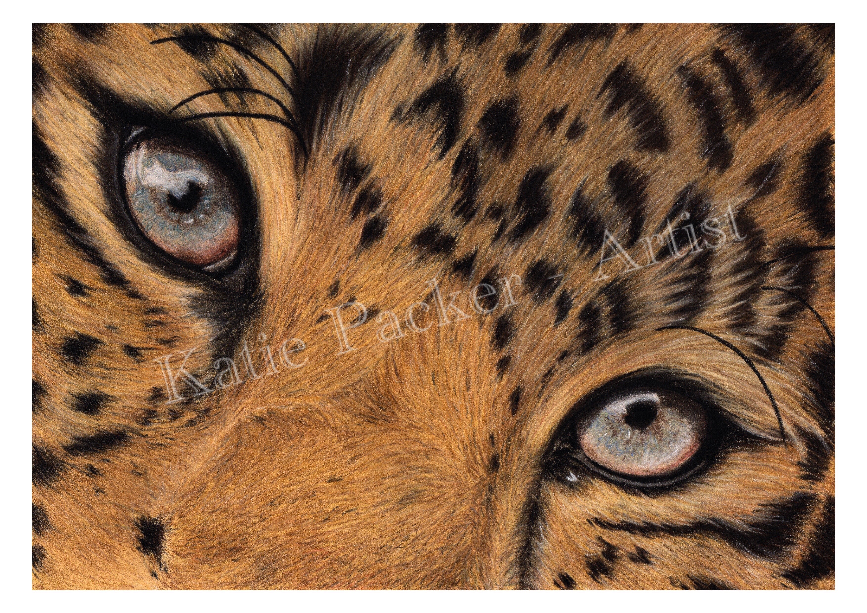 3508x2480 Original, 'leopard Eye' Drawing Katie Packer Artist - Leopard Drawing