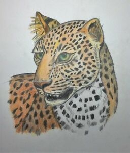 256x300 Florida Original Art Color Pencil Drawing Leopard Cat Wildlife - Leopard Drawing